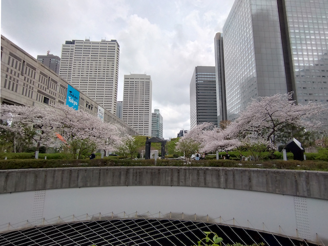 20240408_113003-2のコピー.jpg
