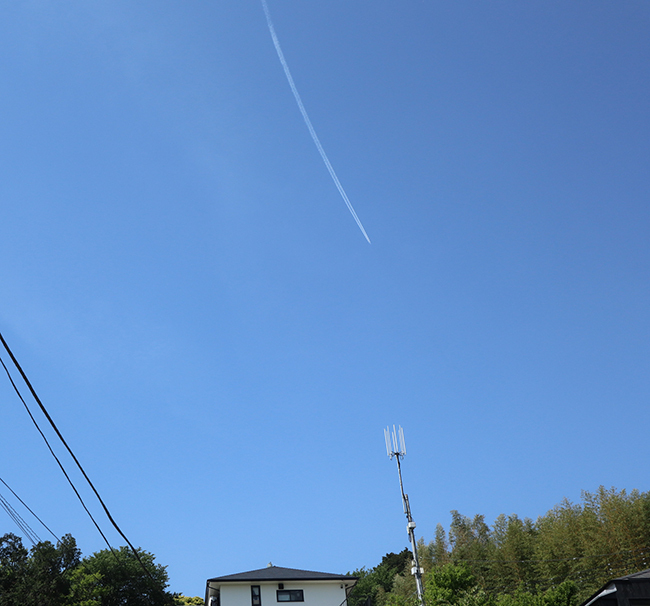 IMG_1054のコピー.JPG