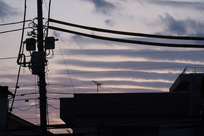 IMG_2193のコピー.JPG