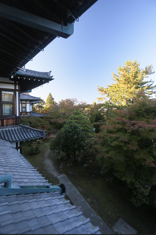 IMG_9803-2のコピー.jpg
