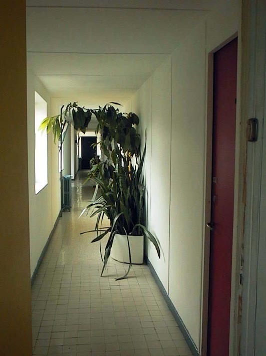 PSTT0007.jpg
